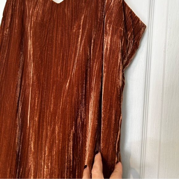 Nordstrom Elodie Velvet dress large nwt - Picture 5 of 14